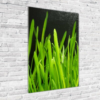 Staand foto plexiglas grassprieten