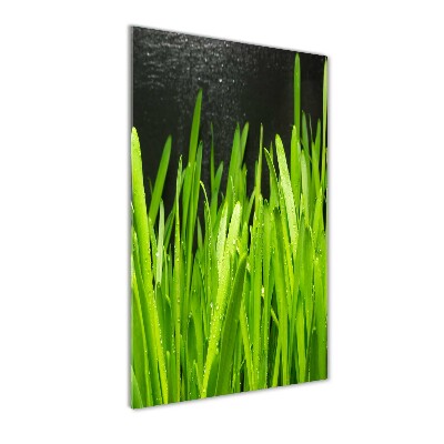 Staand foto plexiglas grassprieten