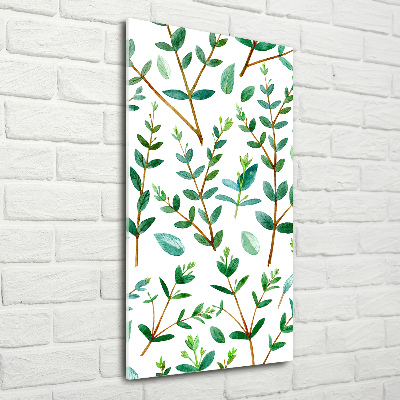 Staand foto in plexiglas Eucalyptus takken