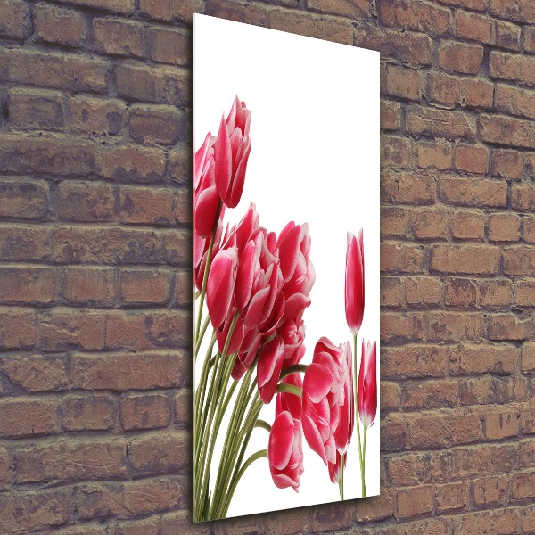 Staand plexiglas foto Rode tulpen