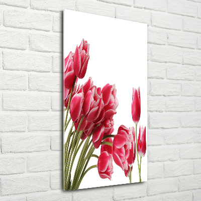 Staand plexiglas foto Rode tulpen