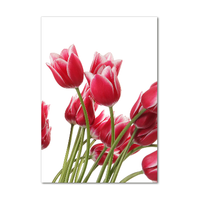 Staand plexiglas foto Rode tulpen
