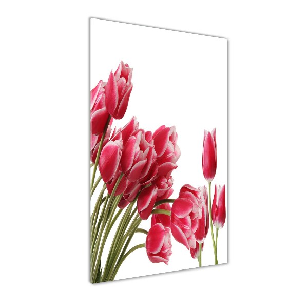 Staand plexiglas foto Rode tulpen