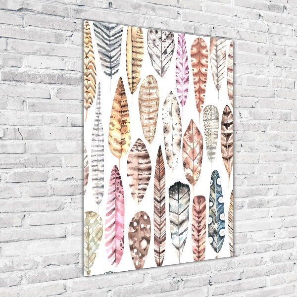 Staand foto in plexiglas Kleurrijke veren