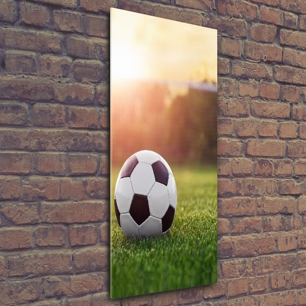Staand foto plexiglas Voetbal
