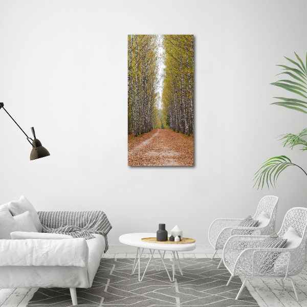 Staand plexiglas foto Berkenbos