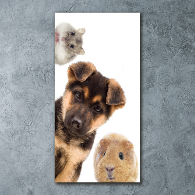 Staand foto plexiglas Huisdieren