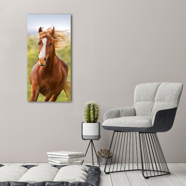 Staand foto in plexiglas Een galopperend paard