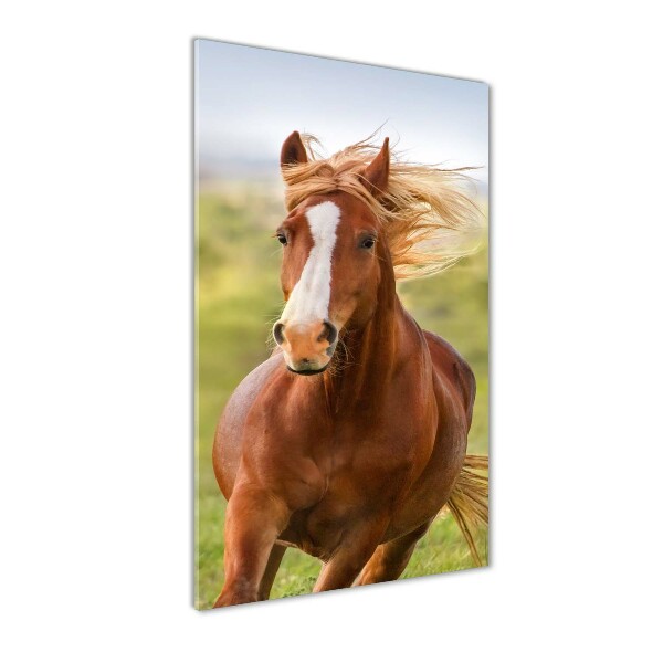 Staand foto in plexiglas Een galopperend paard