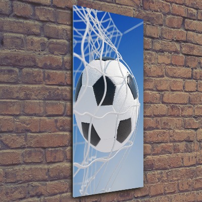 Staand foto in plexiglas De bal ligt in het doel.