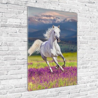 Staand foto op plexiglas Een wit paard in galop