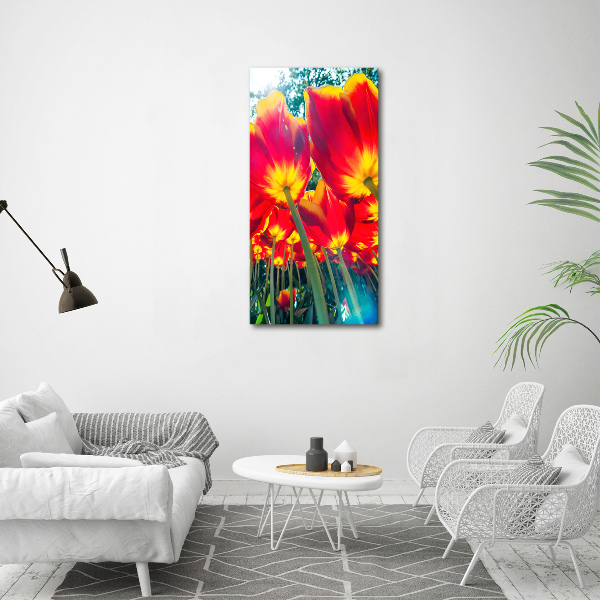 Staand foto plexiglas Rode tulpen