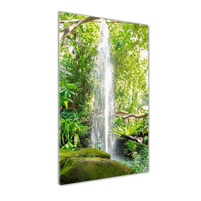 Staand foto plexiglas Waterval in de jungle