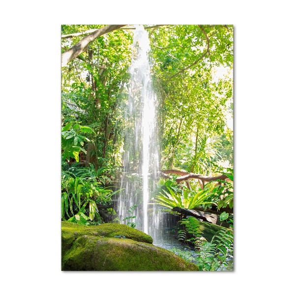 Staand foto plexiglas Waterval in de jungle