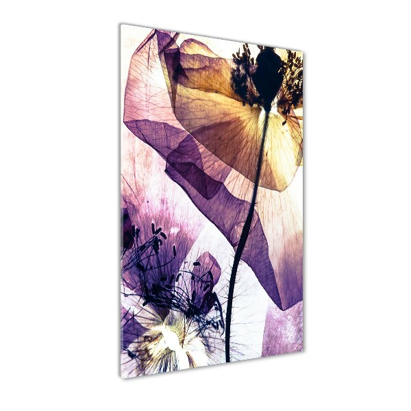 Staand foto in plexiglas Klaprozen