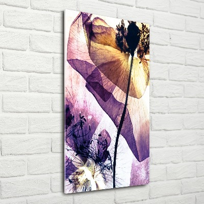 Staand foto in plexiglas Klaprozen