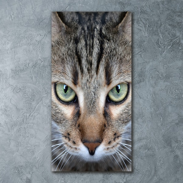 Staand foto plexiglas Kattenogen