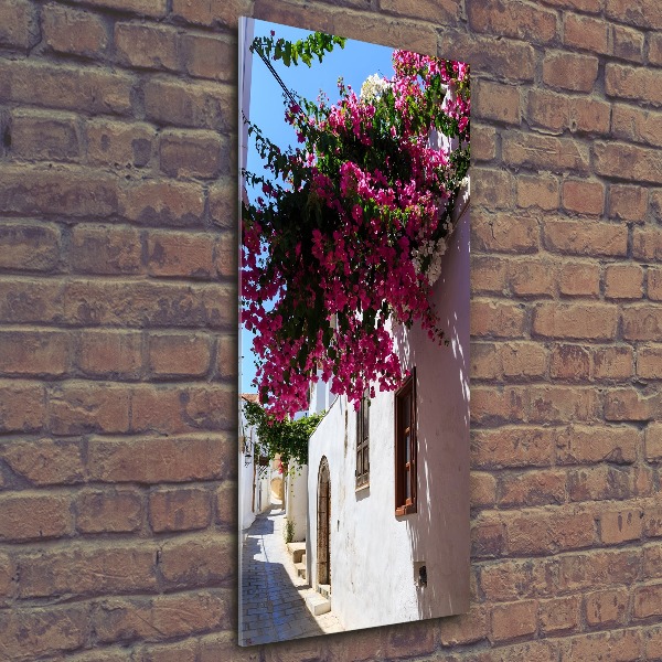 Staand foto op plexiglas Rhodos, Griekenland