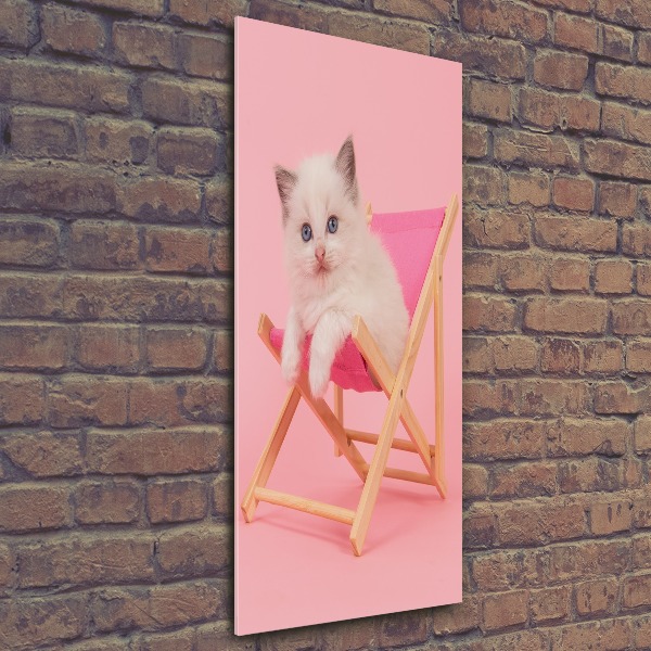 Staand foto in plexiglas Kat op een ligstoel