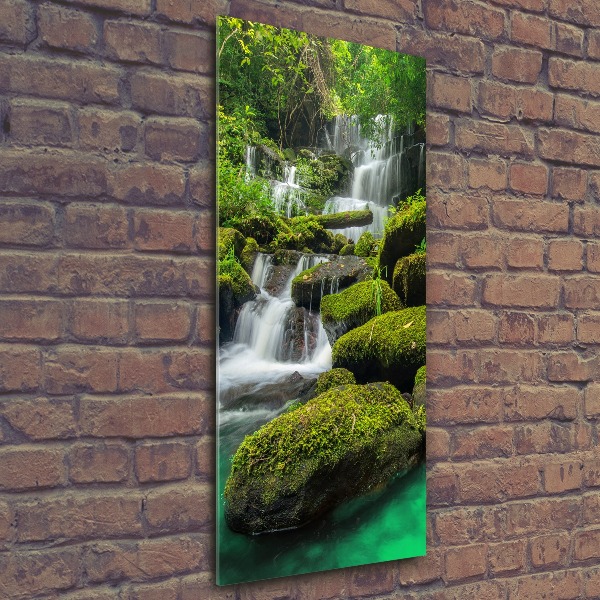 Staand foto plexiglas Waterval in de jungle