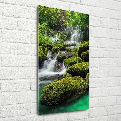 Staand foto plexiglas Waterval in de jungle