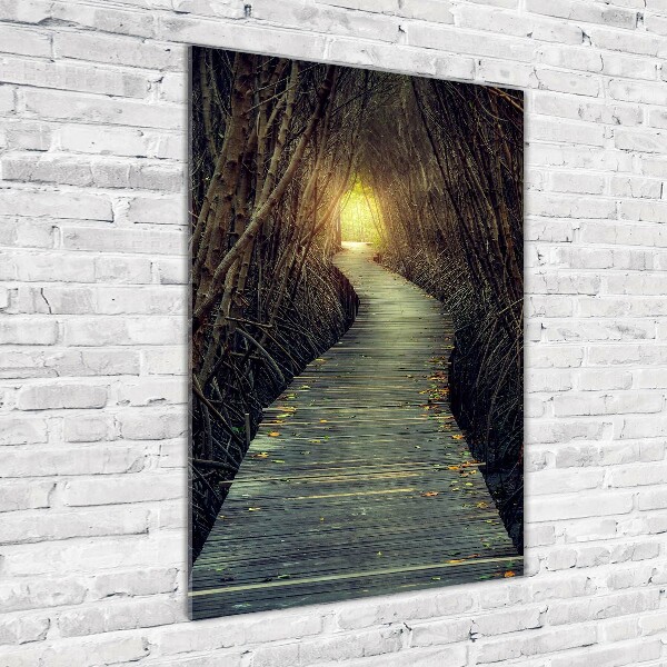 Staand foto op plexiglas Pad in het bos