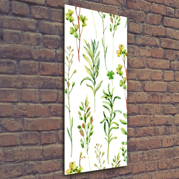 Staand foto op plexiglas Onkruid en kruiden