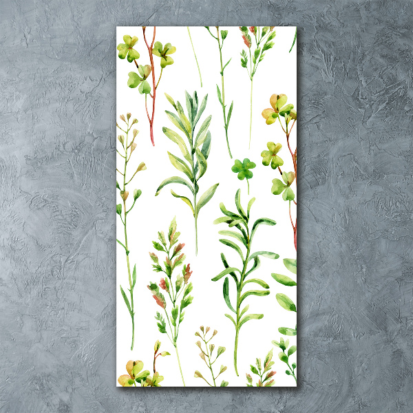 Staand foto op plexiglas Onkruid en kruiden