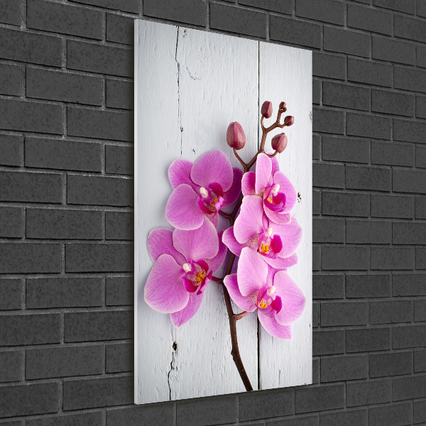 Staand foto in plexiglas Roze orchidee