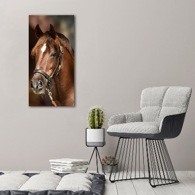 Staand foto plexiglas Portret van een paard