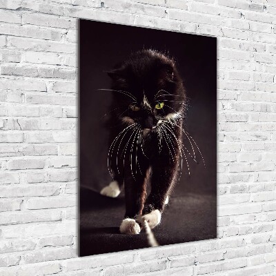 Staand foto in plexiglas Zwarte kat