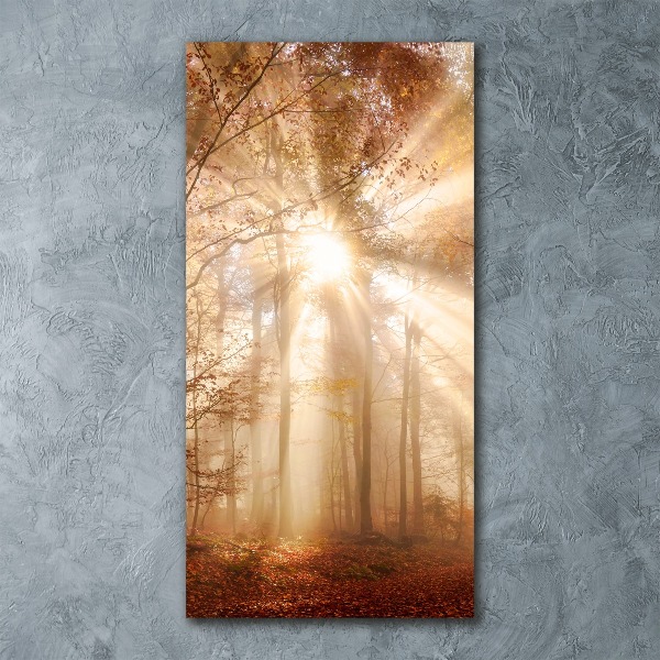 Staand foto plexiglas Bos in de herfst