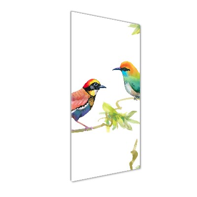 Staand foto plexiglas Vogels
