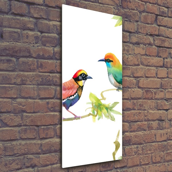 Staand foto plexiglas Vogels