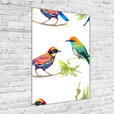 Staand foto plexiglas Vogels