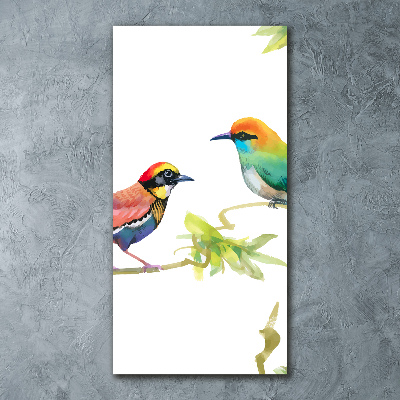Staand foto plexiglas Vogels