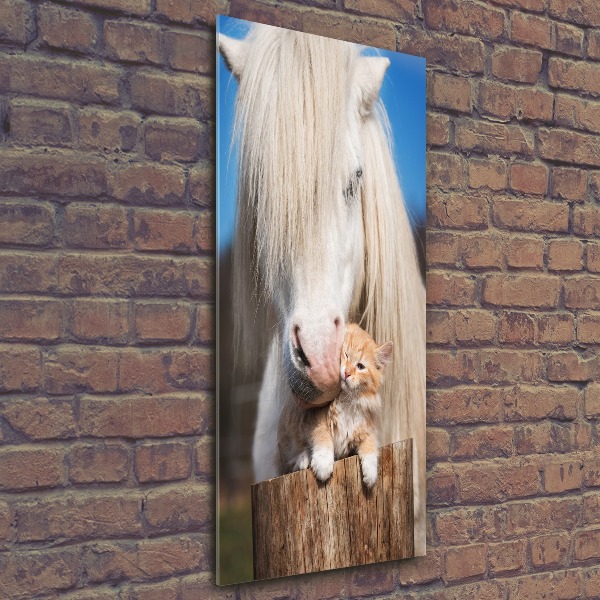 Staand foto op plexiglas Wit paard met een kat
