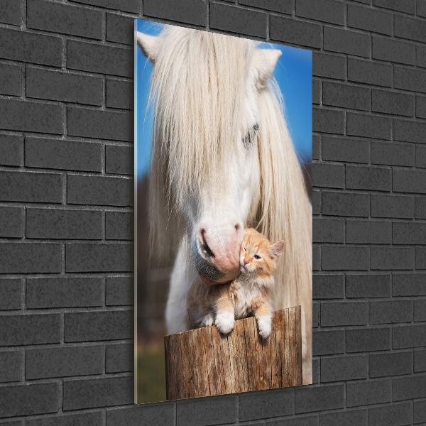 Staand foto op plexiglas Wit paard met een kat