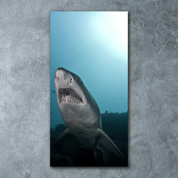 Staand foto plexiglas Grote haai