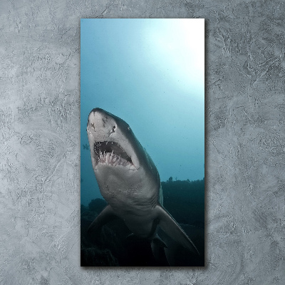 Staand foto plexiglas Grote haai