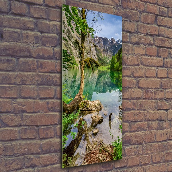 Staand foto op plexiglas Meer in de bergen