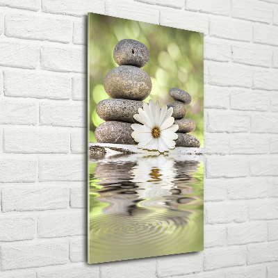 Staand foto op plexiglas Stenen en bloemen