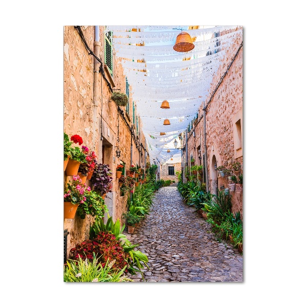 Staand foto op plexiglas Mallorca, Spanje