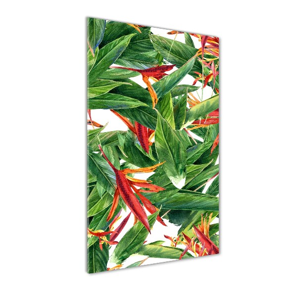 Staand plexiglas foto Strelitzia reginae