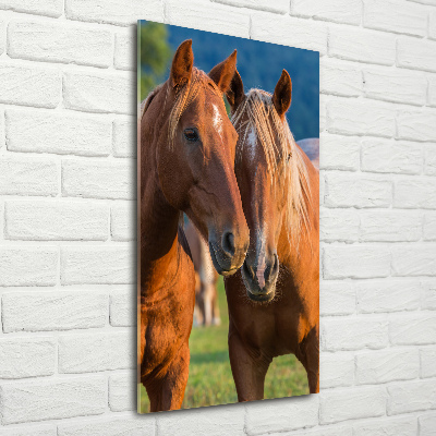 Staand foto op plexiglas Twee paarden
