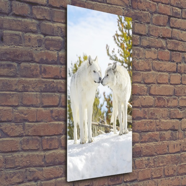 Staand plexiglas foto Twee witte wolven