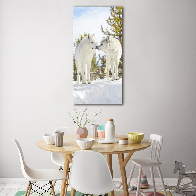 Staand plexiglas foto Twee witte wolven