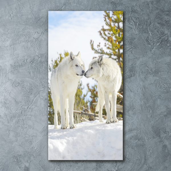 Staand plexiglas foto Twee witte wolven