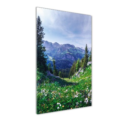 Staand plexiglas foto Alpen