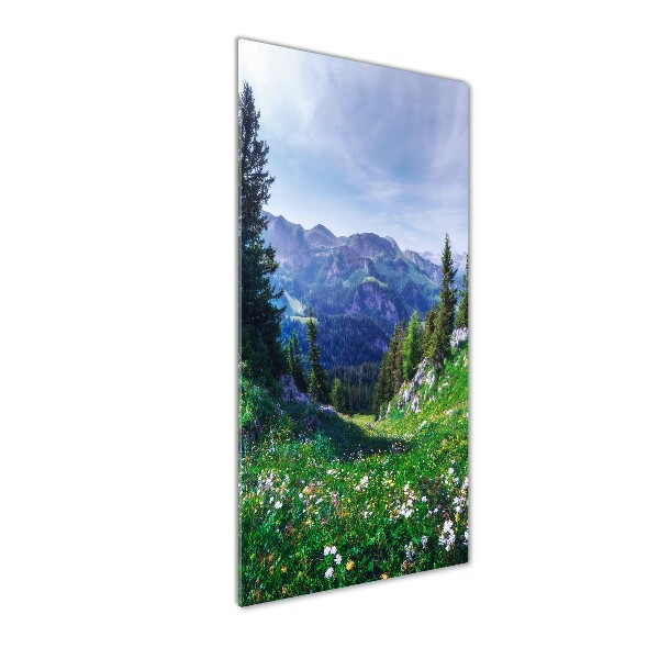 Staand plexiglas foto Alpen